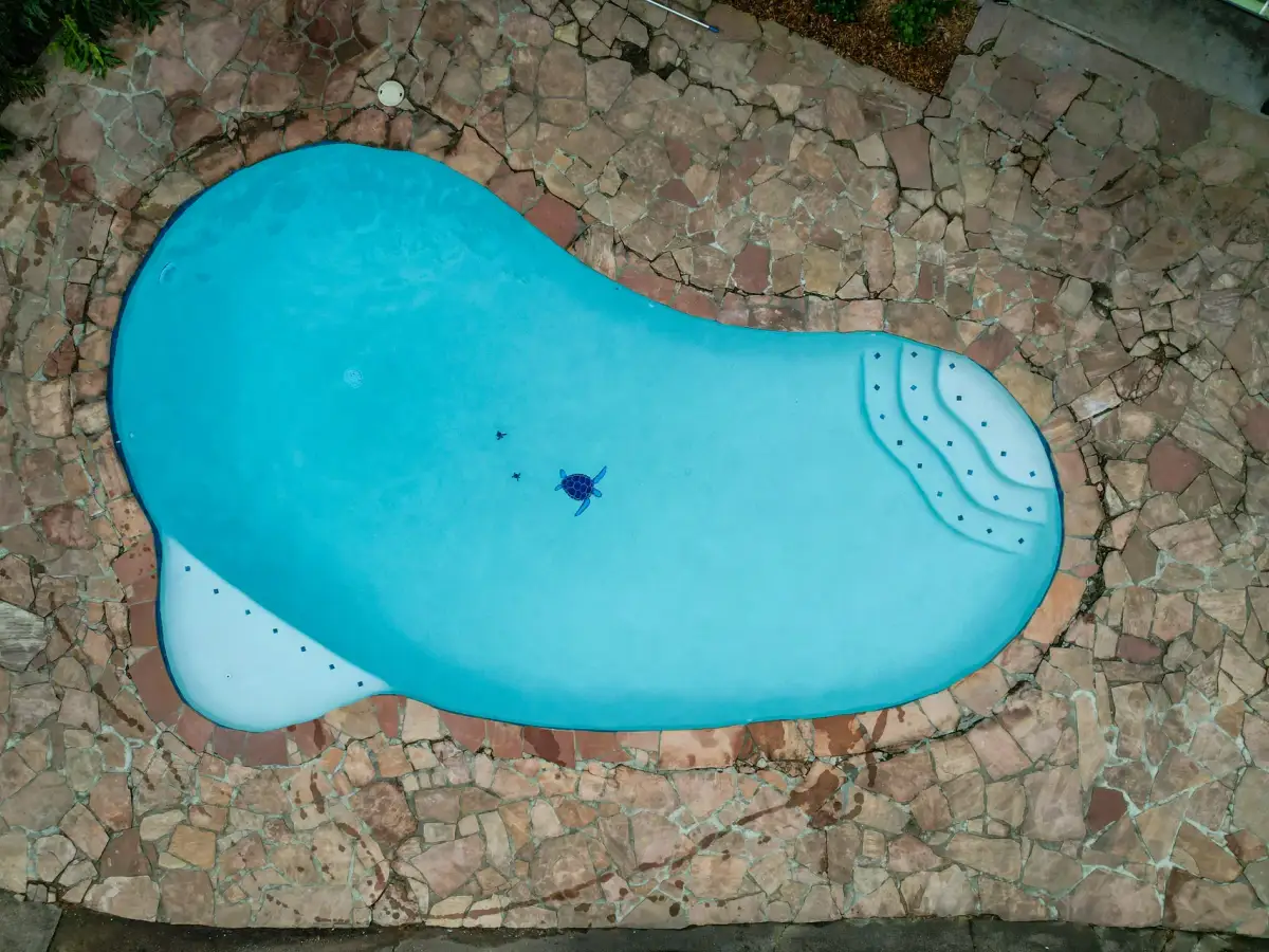 Drone view straight down on a freeform pool with turtle mosaics, bench steps and a flagstone deck