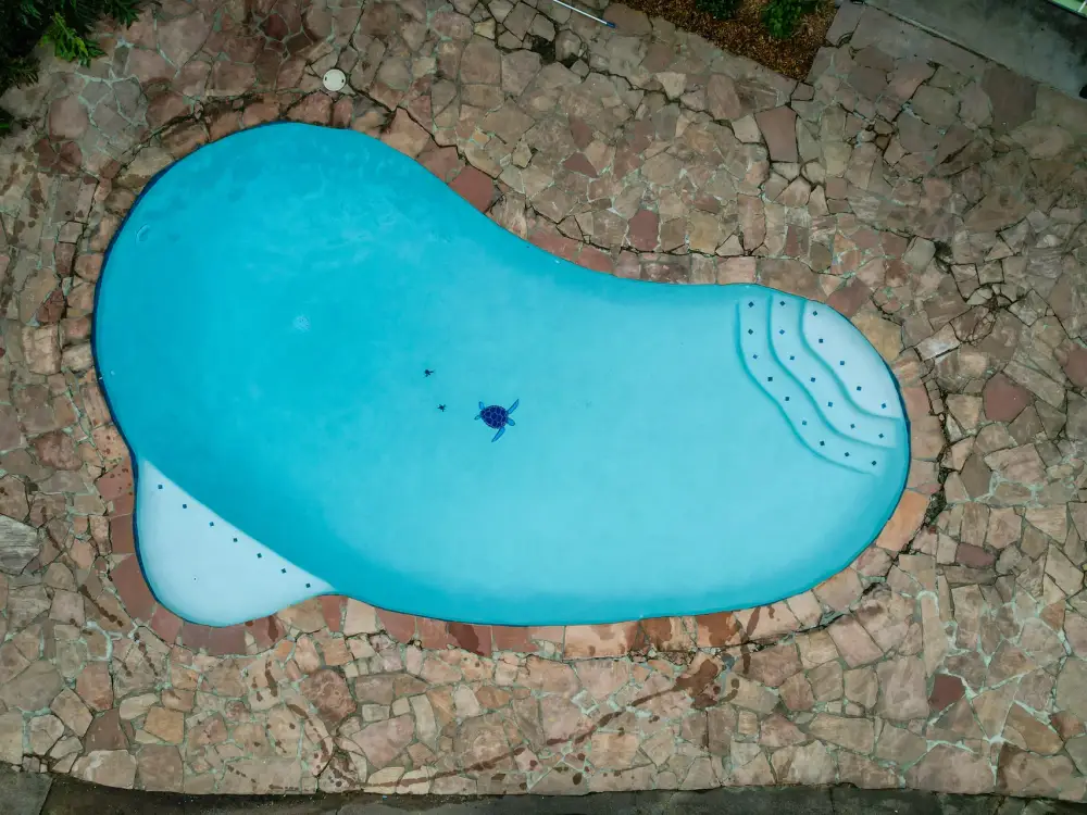 Drone view straight down on a freeform pool with turtle mosaics, bench steps and a flagstone deck