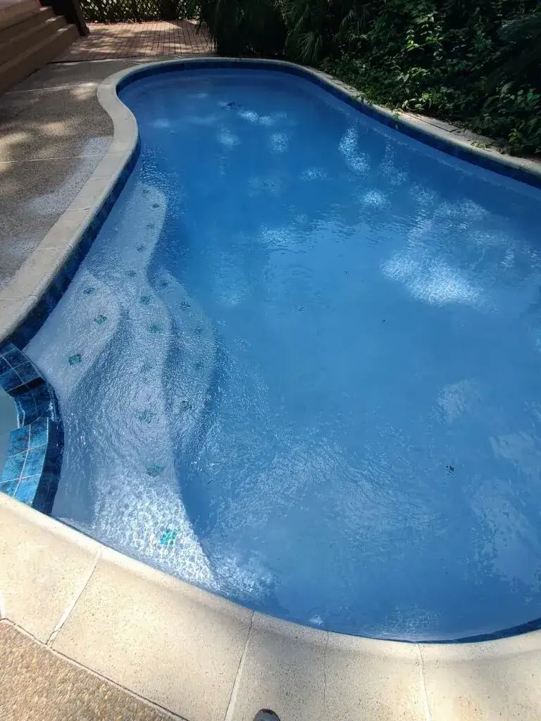 Kidney-shaped pool with blue plaster and tiled steps
