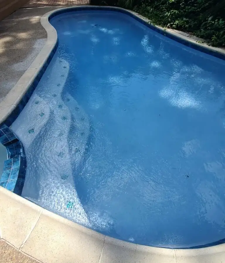 Kidney-shaped pool with blue plaster finish and tiled entry steps