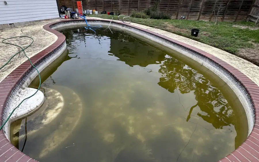 Neglected kidney pool with green water and brick coping before an Aloha cleanup and replaster