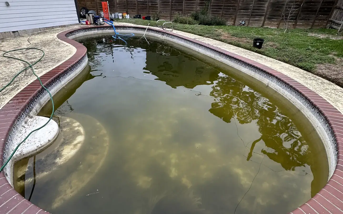 Neglected kidney pool with green water and brick coping before an Aloha cleanup