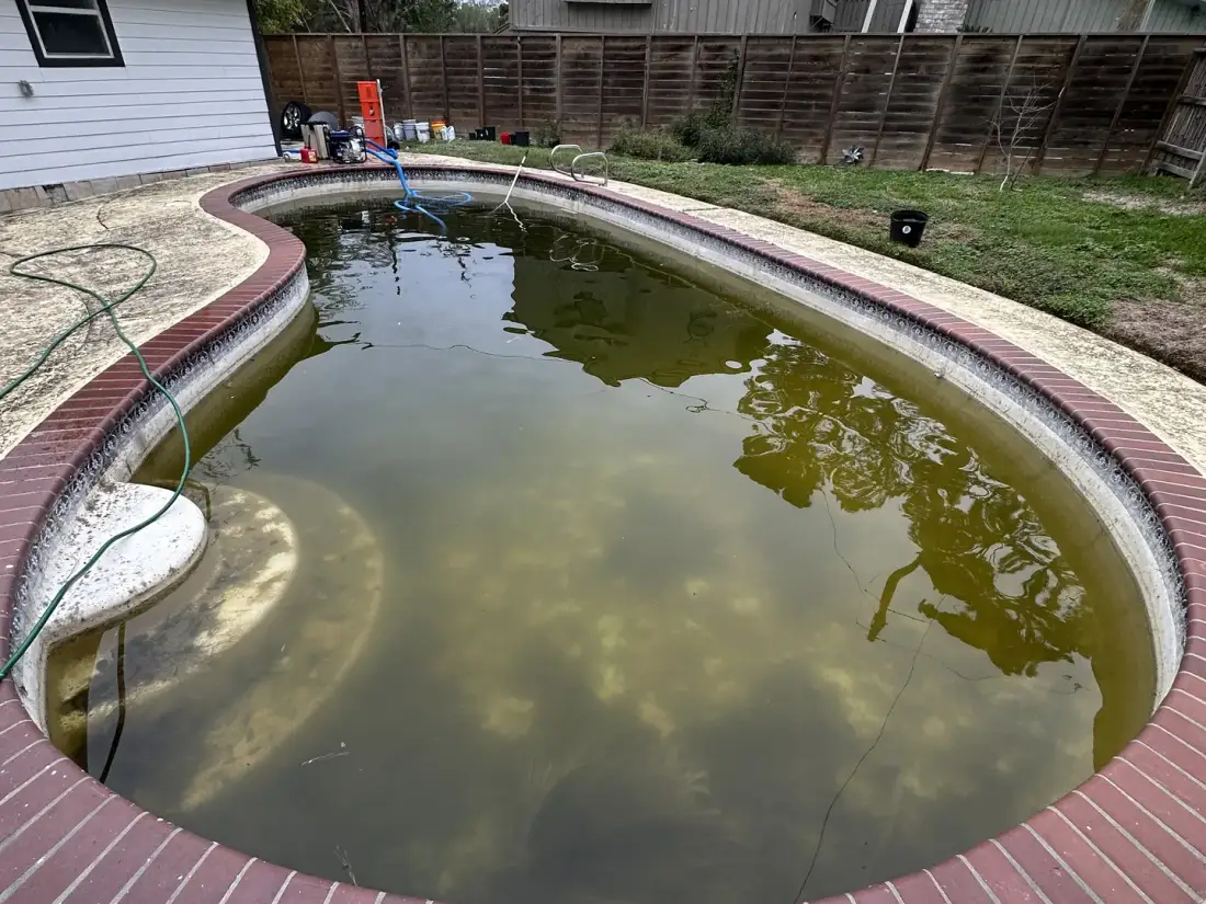 Kidney pool before work: green murky water inside red brick coping, grey house and fence behind