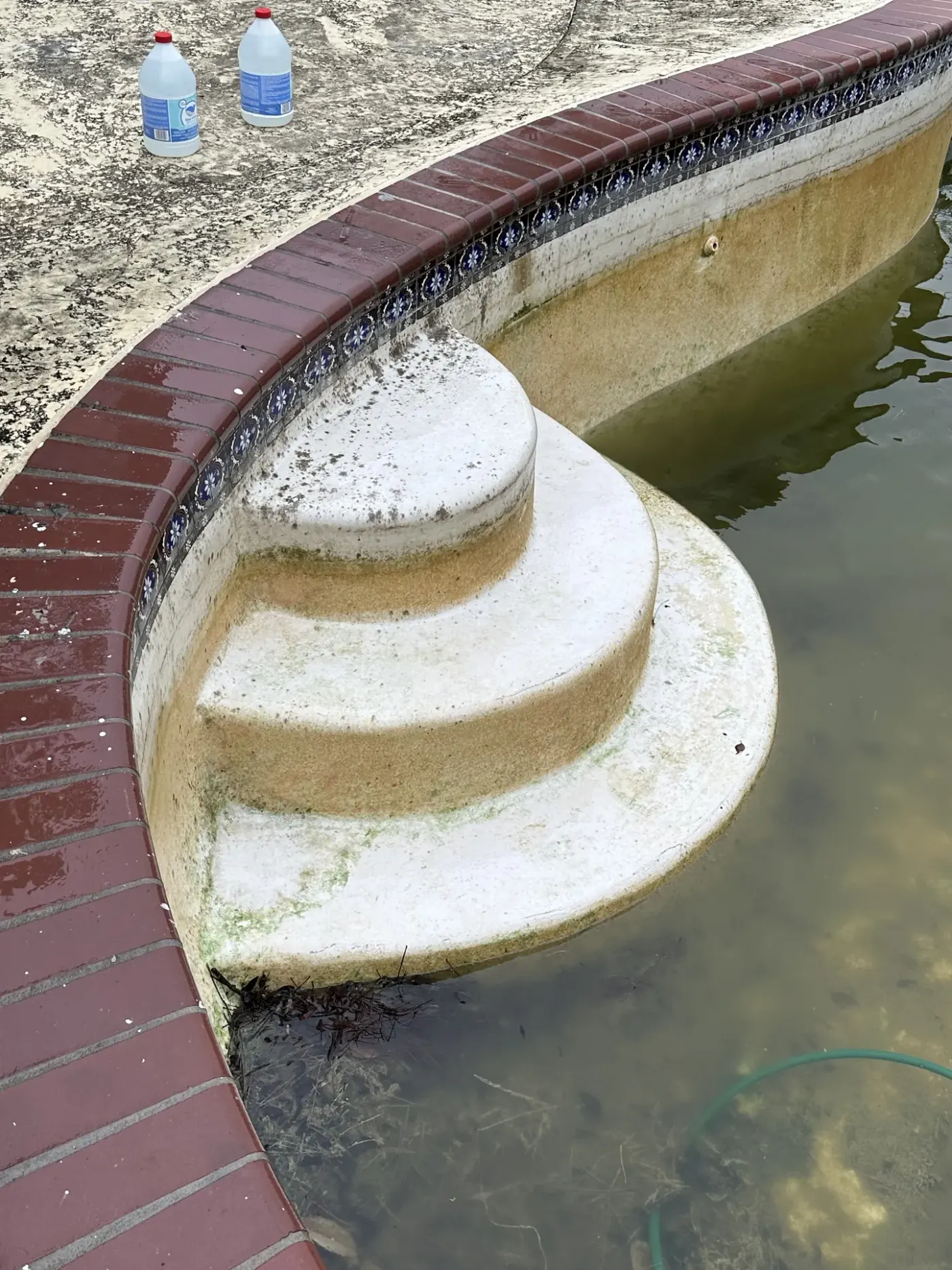 Close view of the pool steps before work, stained and algae-covered under cloudy water
