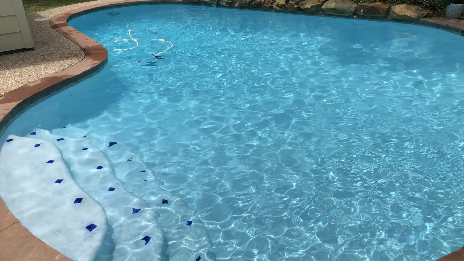 Kidney-shaped pool with white steps edged in blue diamond tiles and sunlit water