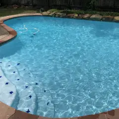 Kidney-shaped pool with white steps edged in blue diamond tiles and sunlit water