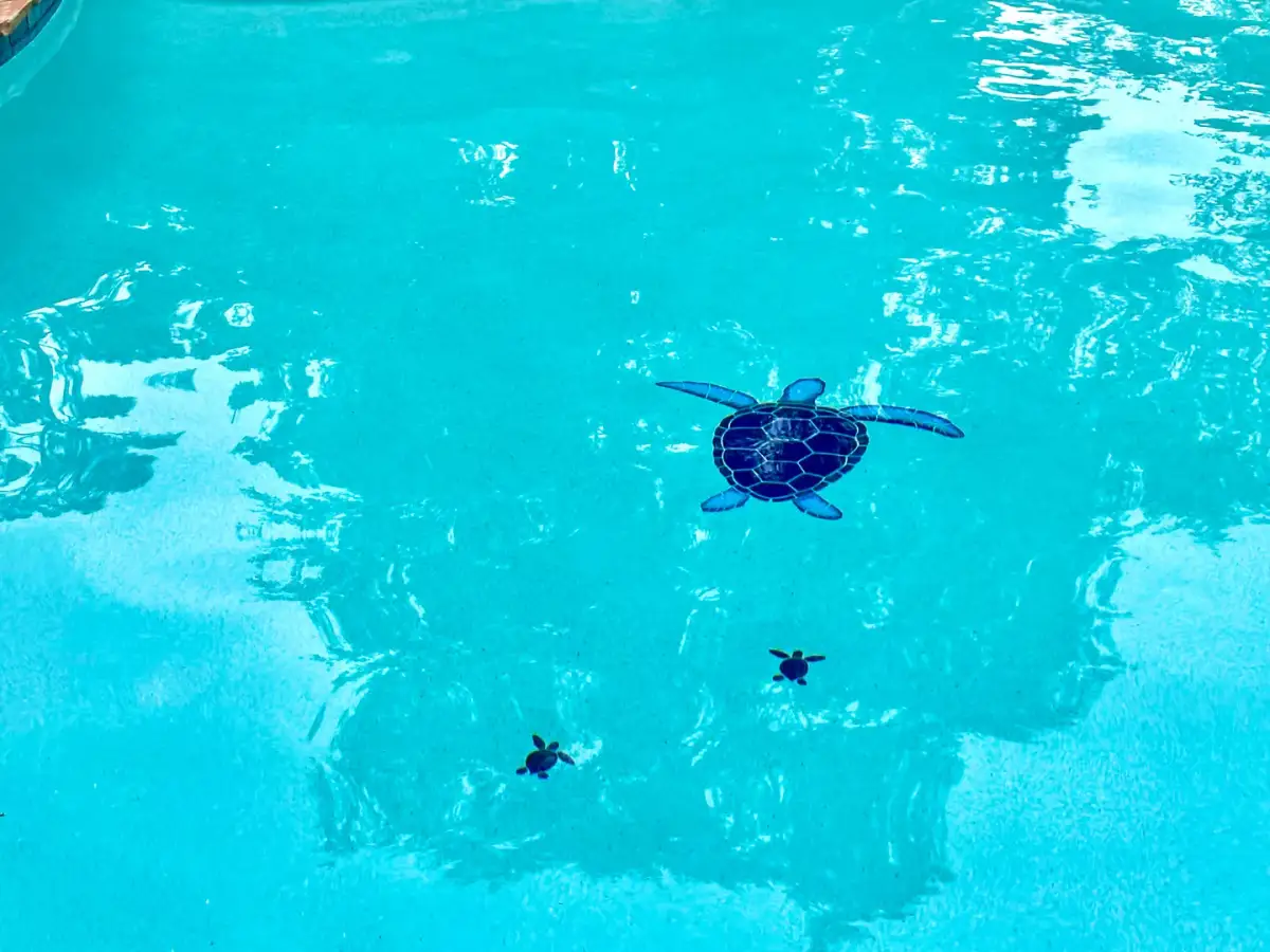 Close view of bright blue pool water over white plaster with dark blue turtle mosaic tiles