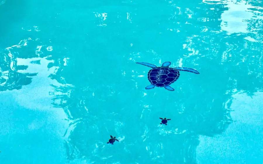 Close view of bright blue pool water over white plaster with dark blue turtle mosaic tiles